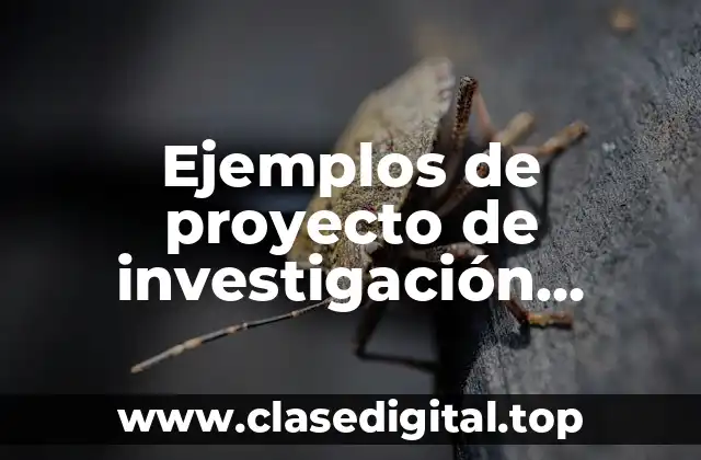 Ejemplos de proyecto de investigación universitario