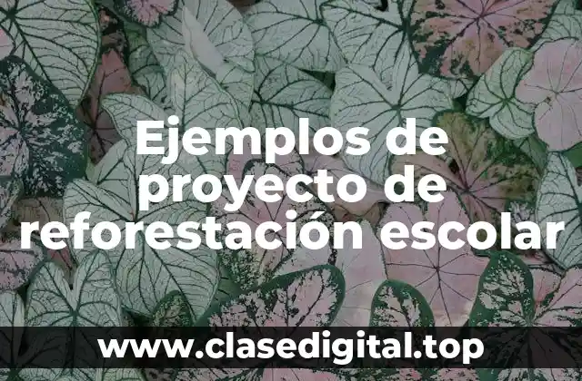 Ejemplos de proyecto de reforestación escolar