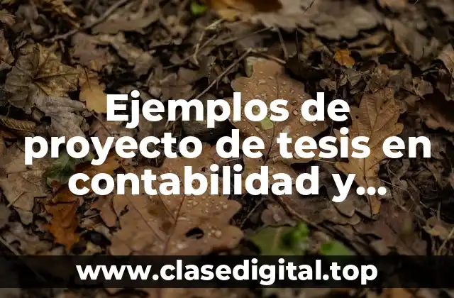 Ejemplos de proyecto de tesis en contabilidad y Significado
