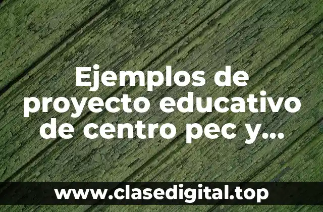 Ejemplos de proyecto educativo de centro pec y Significado