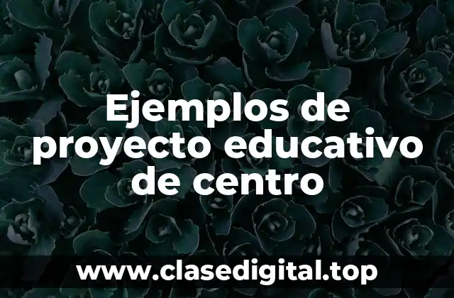 Ejemplos de proyecto educativo de centro