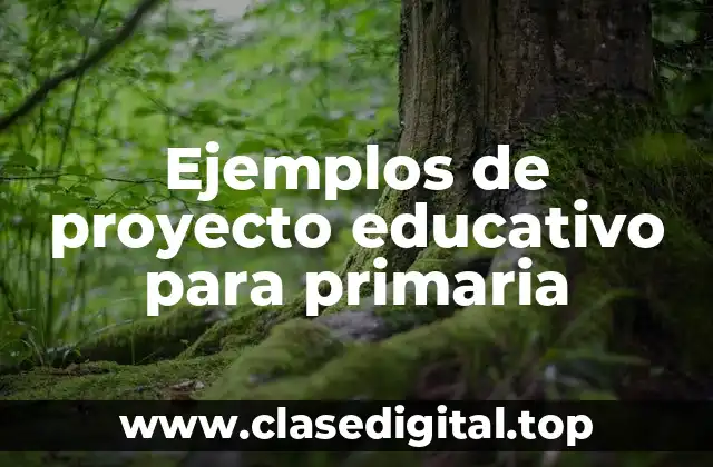 Ejemplos de proyectos educativos para primaria