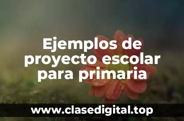 Ejemplos de proyecto escolar para primaria