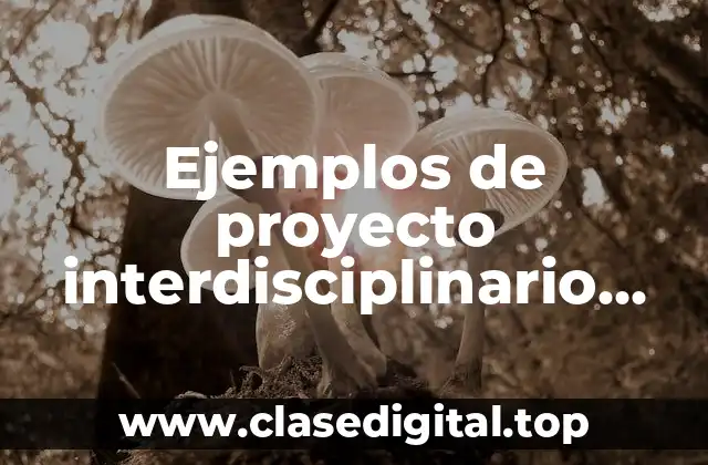 Ejemplos de proyecto interdisciplinario para primaria