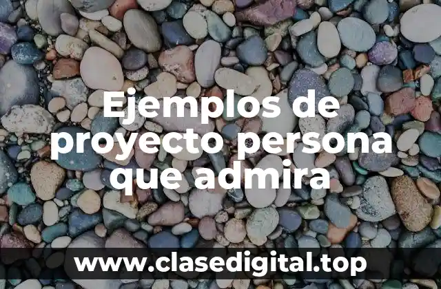 Ejemplos de proyecto persona que admira