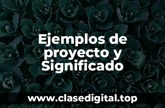 Ejemplos de proyecto y Significado