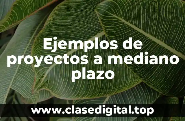 Ejemplos de proyectos a mediano plazo