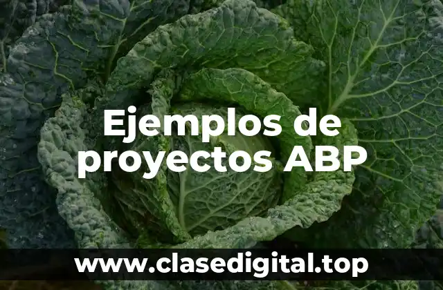 Ejemplos de proyectos ABP