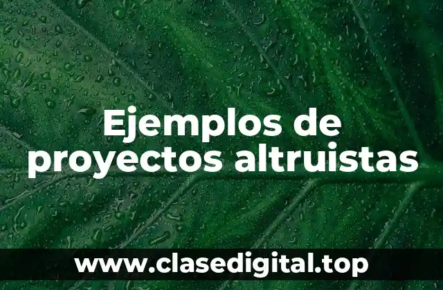 Ejemplos de proyectos altruistas