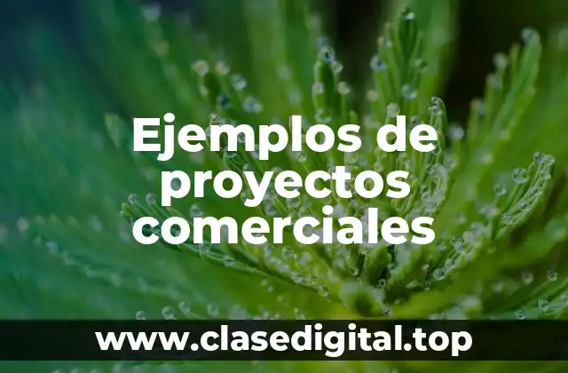 Ejemplos de proyectos comerciales