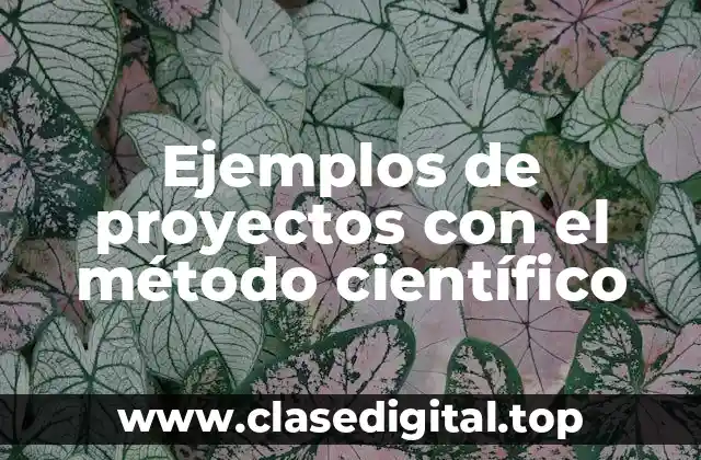 Ejemplos de proyectos con el método científico