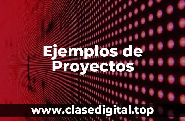 Ejemplos de Proyectos