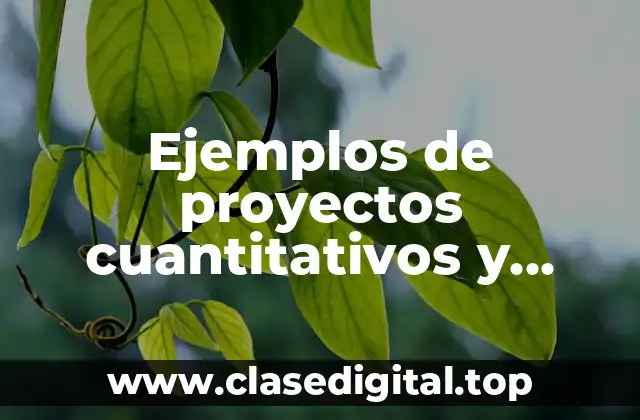 Ejemplos de proyectos cuantitativos y Significado