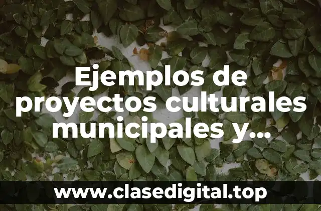 Ejemplos de proyectos culturales municipales y Significado