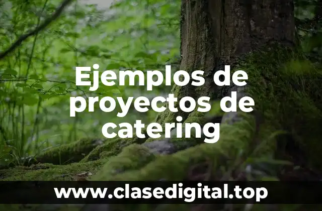 Ejemplos de proyectos de catering