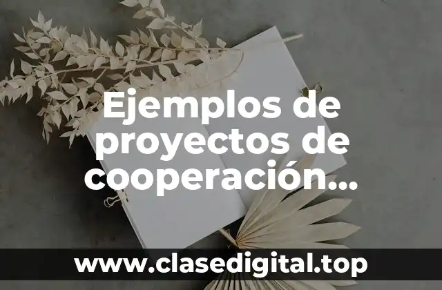 Ejemplos de proyectos de cooperación internacional