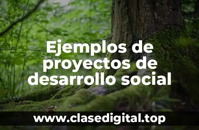 Ejemplos de proyectos de desarrollo social