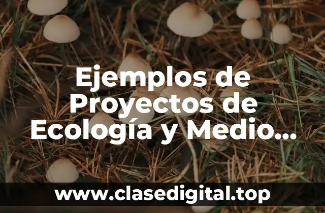 Ejemplos de Proyectos de Ecología y Medio Ambiente