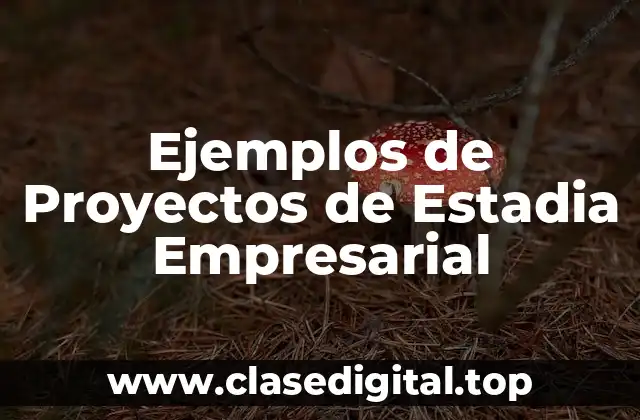 Ejemplos de Proyectos de Estadia Empresarial