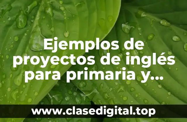 Ejemplos de proyectos de inglés para primaria y Significado