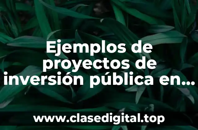 Ejemplos de proyectos de inversión pública en turismo