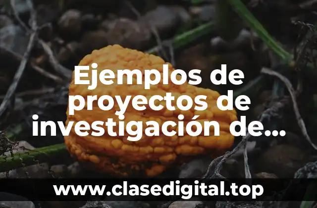 Ejemplos de proyectos de investigación de contaduría pública