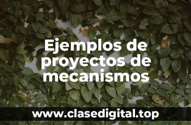 Ejemplos de proyectos de mecanismos