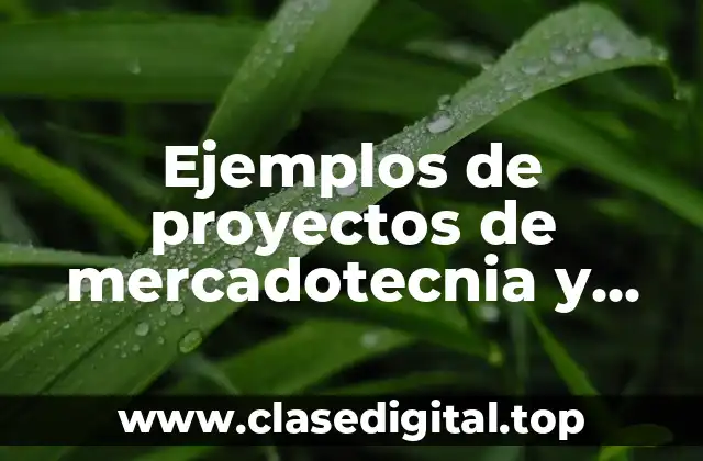 Ejemplos de proyectos de mercadotecnia y Significado