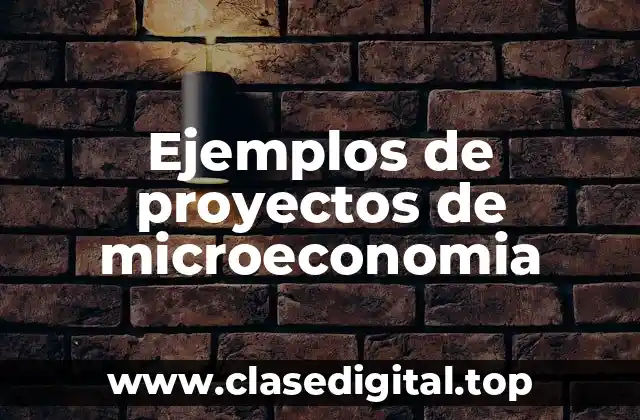Ejemplos de proyectos de microeconomia