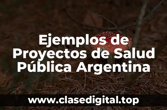 Ejemplos de Proyectos de Salud Pública Argentina