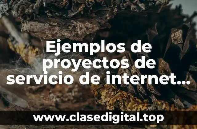 Ejemplos de proyectos de servicio de internet punto a punto