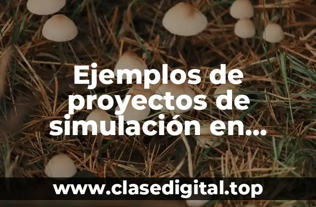Ejemplos de proyectos de simulación en Promodel y Significado