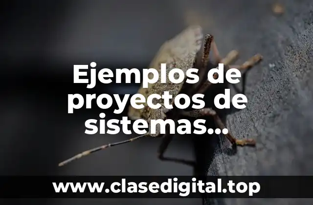 Ejemplos de proyectos de sistemas computacionales y Significado