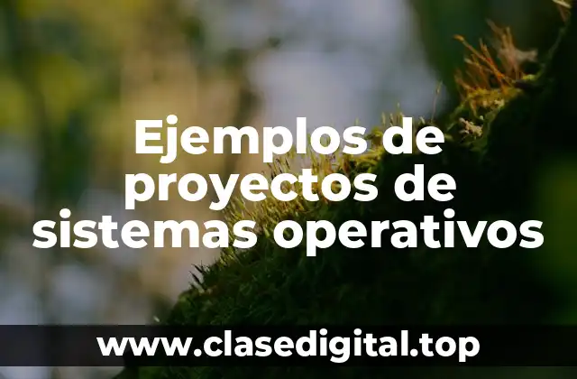 Ejemplos de proyectos de sistemas operativos
