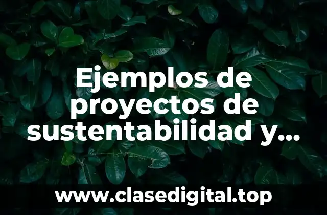 Ejemplos de proyectos de sustentabilidad y vinculación social y educativa