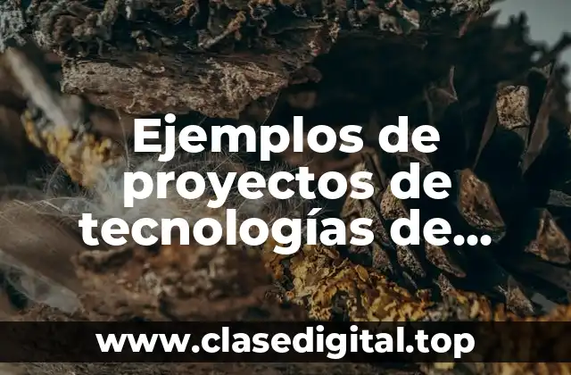 Ejemplos de proyectos de tecnologías de información y Significado