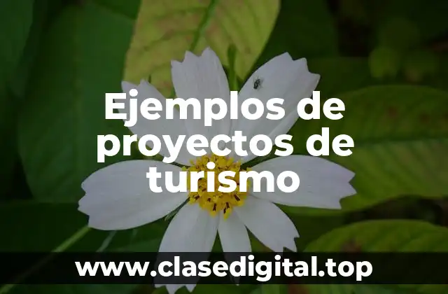 Ejemplos de proyectos de turismo