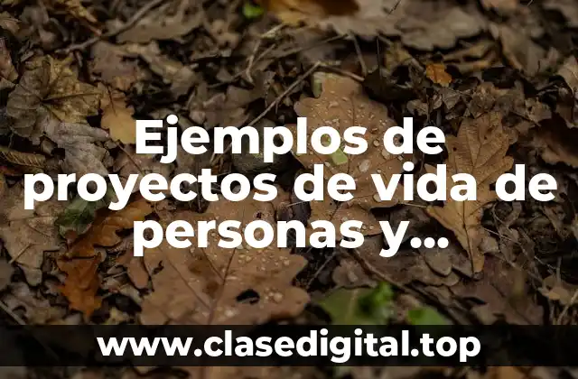 Ejemplos de proyectos de vida de personas
