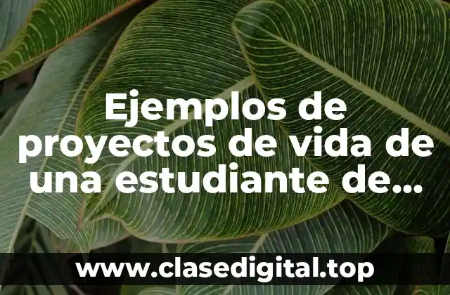 Ejemplos de proyectos de vida de una estudiante de medicina. y Significado