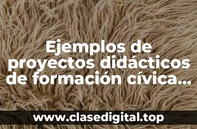 Ejemplos de proyectos didácticos de formación cívica y ética primaria