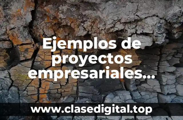 Ejemplos de proyectos empresariales innovadores