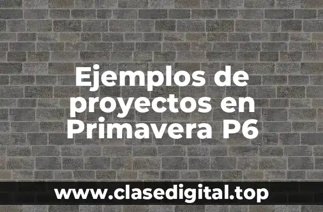 Ejemplos de proyectos en Primavera P6