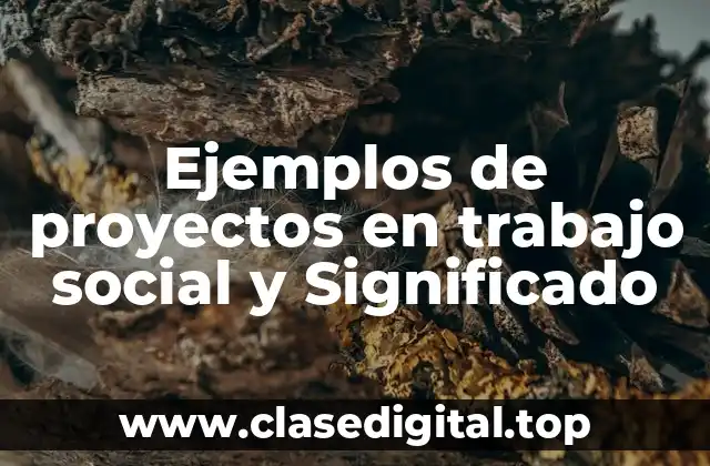 Ejemplos de proyectos en trabajo social y Significado