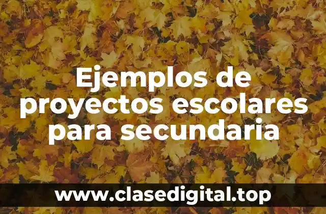 Ejemplos de proyectos escolares para secundaria
