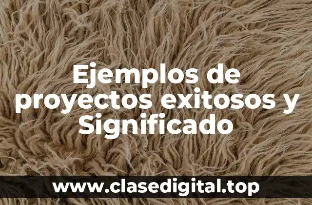 Ejemplos de proyectos exitosos