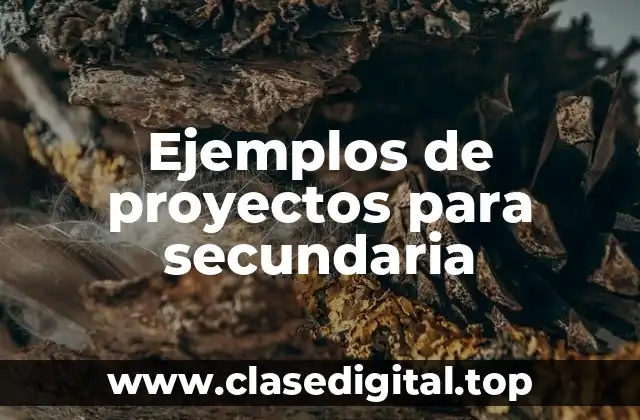 Ejemplos de proyectos para secundaria