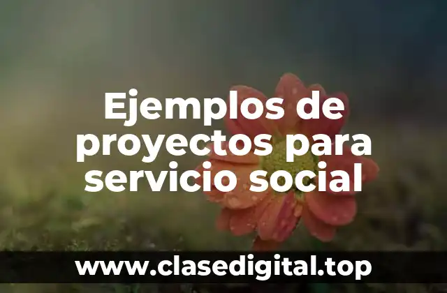 Ejemplos de proyectos para servicio social