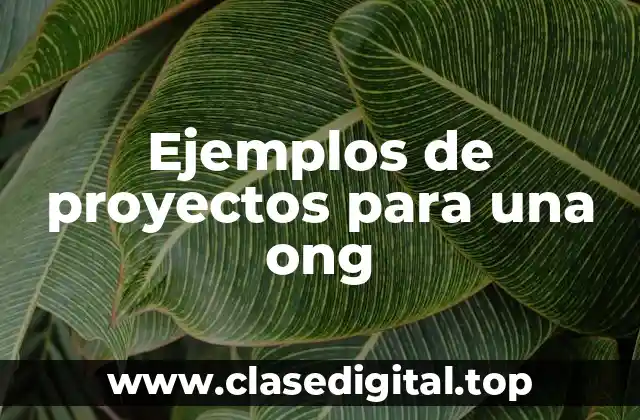 Ejemplos de proyectos para una ong