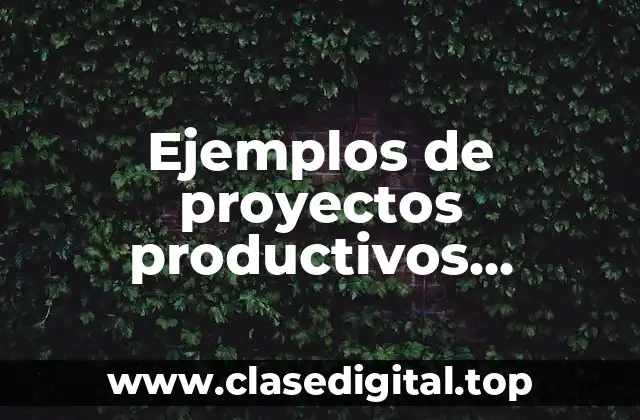 Ejemplos de proyectos productivos artesanales y Significado