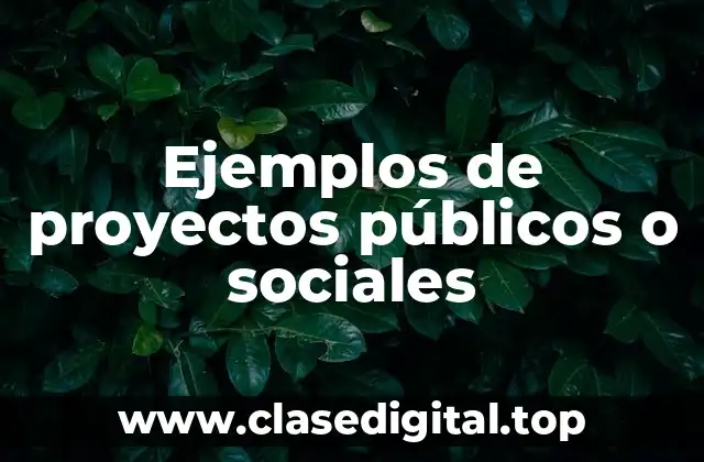 Ejemplos de proyectos públicos o sociales